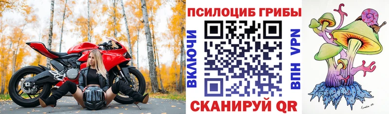 Псилоцибиновые грибы прущие грибы  kraken ONION  Почеп 